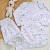 pack de 4 prendas de algodón pima