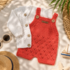 conjunto dulces brisas conjunto dulces brisas